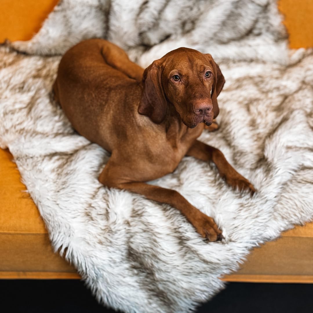 Waterproof Throw Blanket, Pet Bed Blanket for Dogs and Cats, Plush Fur Throw for Sleeping, Whelping, and Comfort, Furniture Protection, Stain Resistant Surface, Machine Washable (Grey, 30x40")