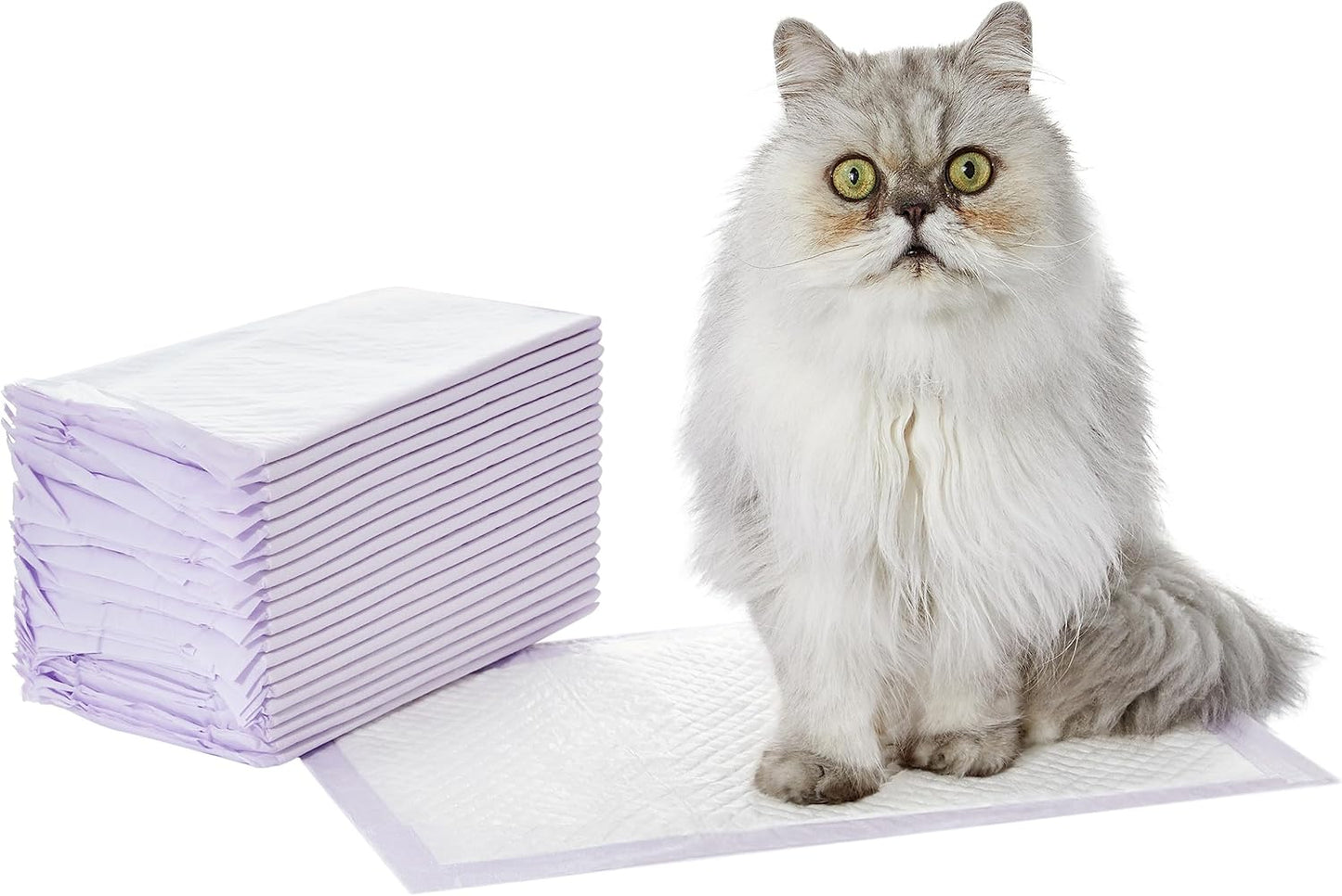 Basics Cat Pad Refills for Litter Box, Unscented, Pack of 40, Polyethylene, Purple and White