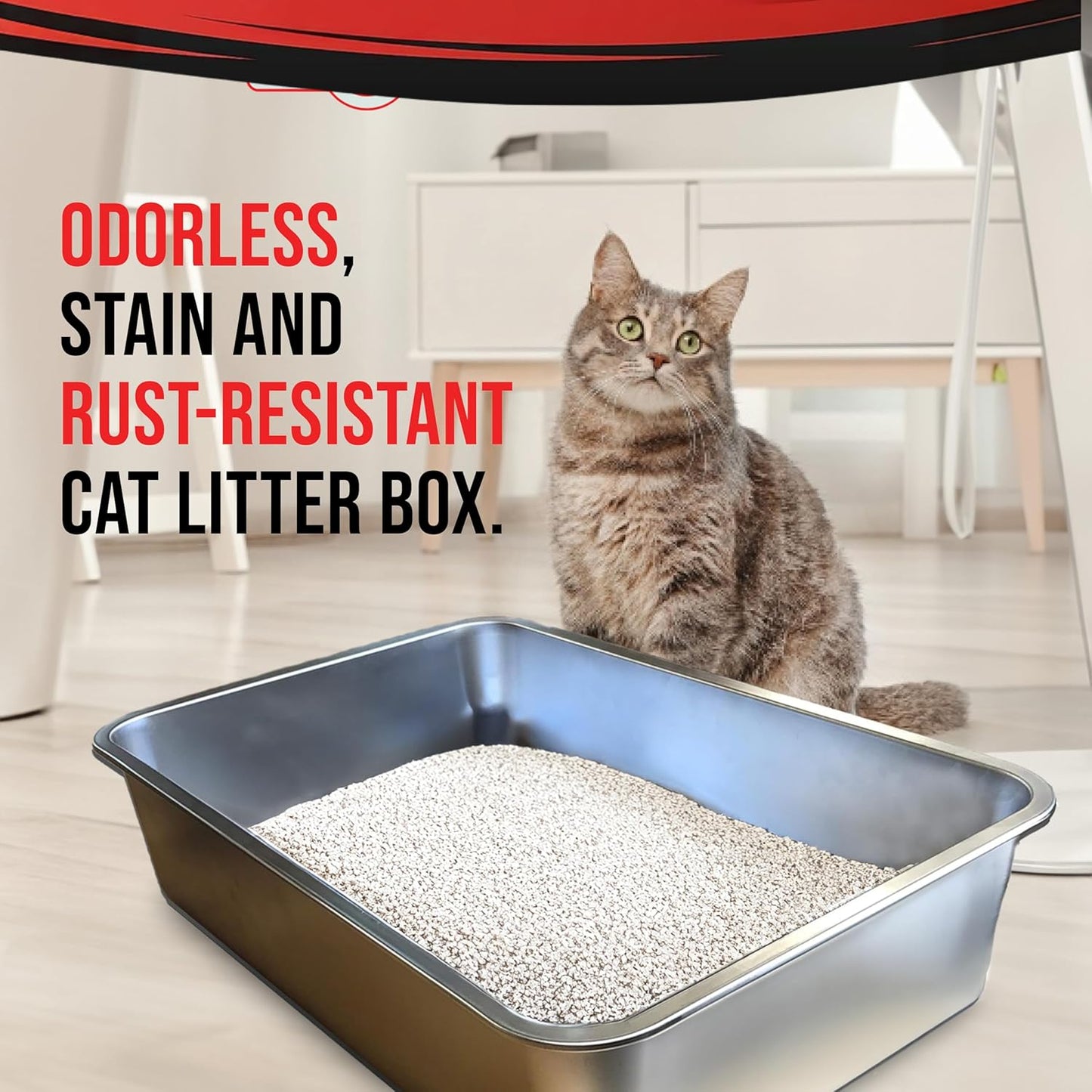 Stainless Steel XL Cat Litter Box - XL Litter Box for Big Cats - Large Cat Litter Box - Never Absorbs Odor, Stains, or Rusts - Easy Cleaning Litterbox Designed by Cat Owners (1 Pan)