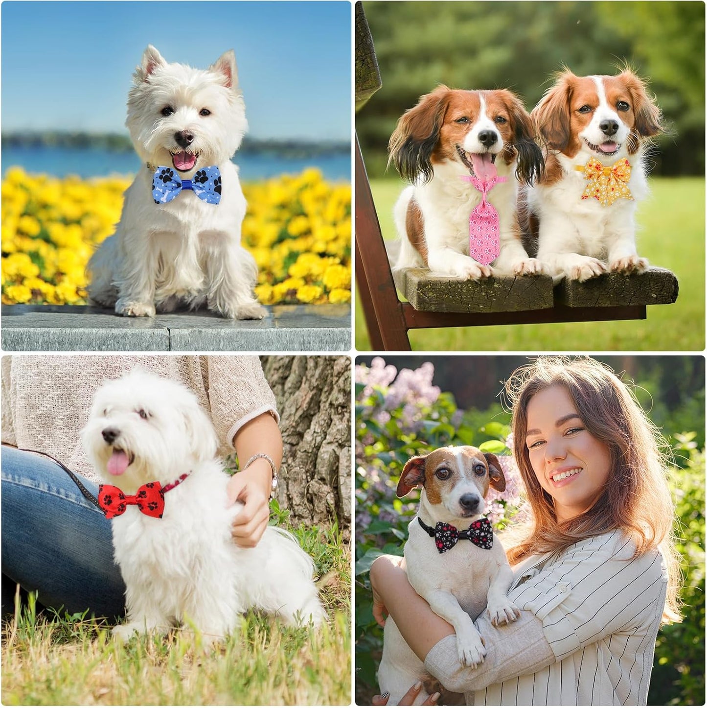 100 Pieces Dog Bow Tie Collar Set Include 40 Dog Neckties, and 30 Puppy Bowties, 30 Collar Flowers, Adjustable Pet Ties Grooming for Small Medium Cats Pets Supply(Paw Bone)