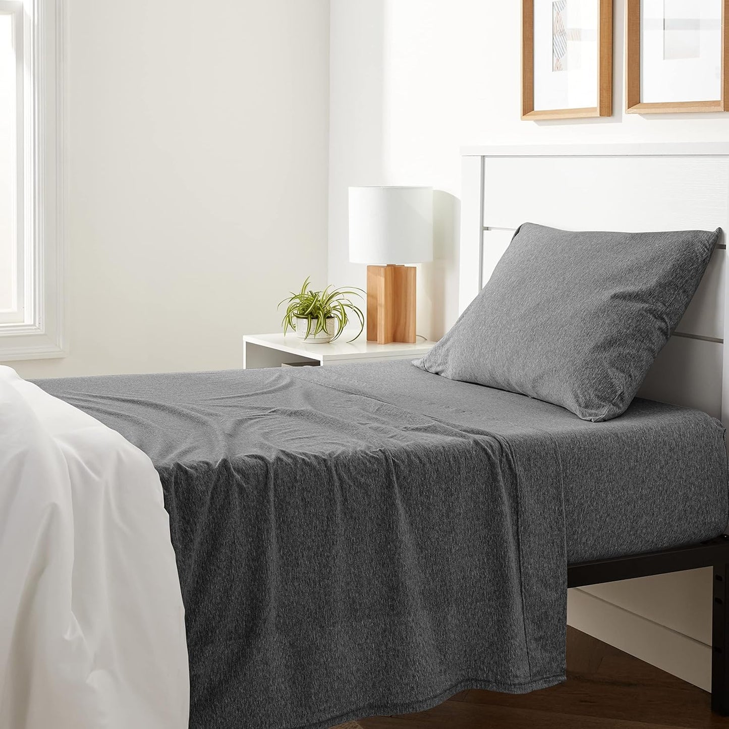 Basics 4 Piece Bed Sheets Set, 100% Cotton Jersey, Includes Super Soft, Flat and Fitted Sheets, Pillowcase, King, Oatmeal, Solid