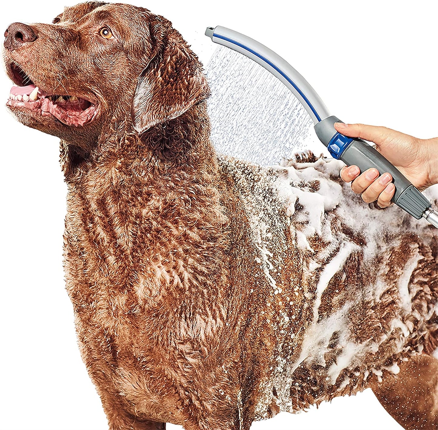 Dog Shower Attachment for Fast and Easy Dog Bathing and Cleaning, Indoor and Outdoor Sprayer Includes 8-Foot Flex Hose, Blue/Grey, PPR-252E