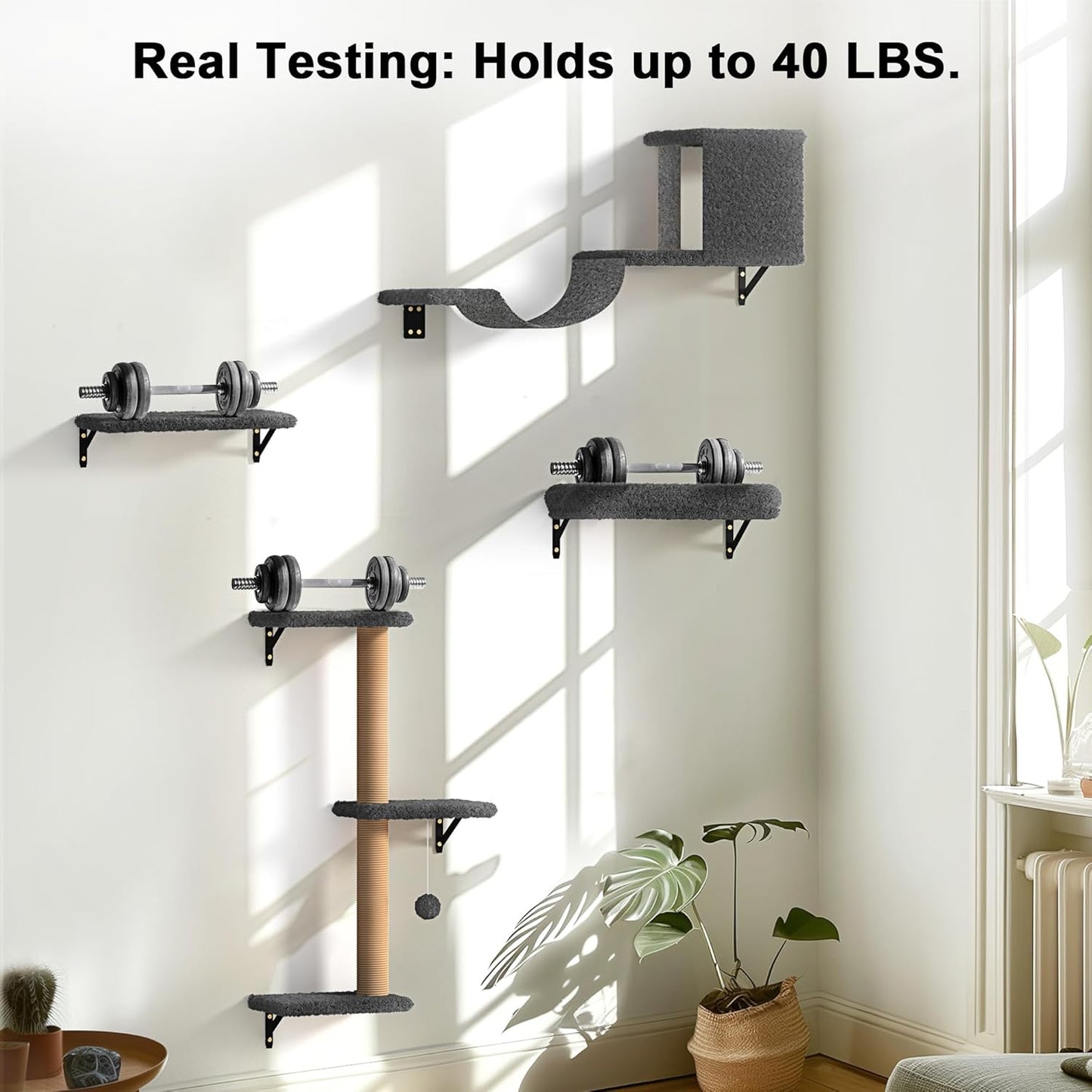 Cat Wall Shelves, Stable & Safe 4 in 1 Cat Wall Furniture Set, Wooden Cat Climbing Wall with Scratching Post for 16 Inch Drywall - Gray
